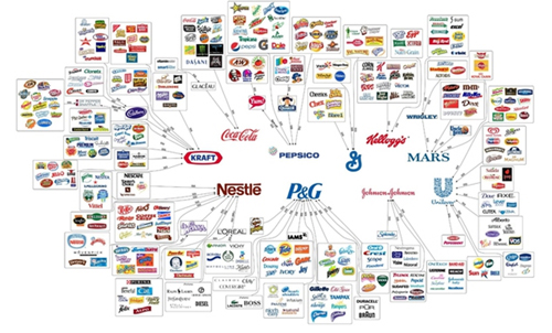 企業如何利用多品牌經營策略實現細分市場利益最大化-上海品牌策劃公司策劃