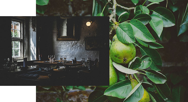 尼約德有機餐廳餐飲logo設計VI設計-菜單設計-上海VI設計公司