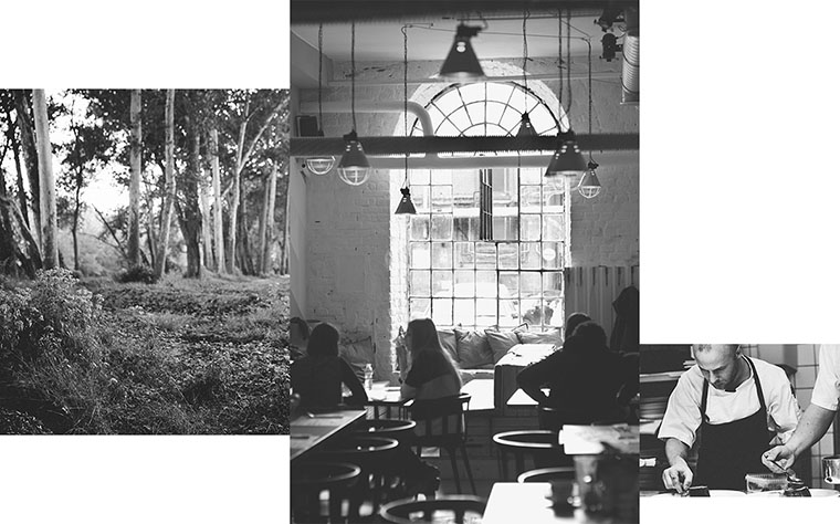 尼約德有機餐廳餐飲logo設計VI設計-菜單設計-上海VI設計公司