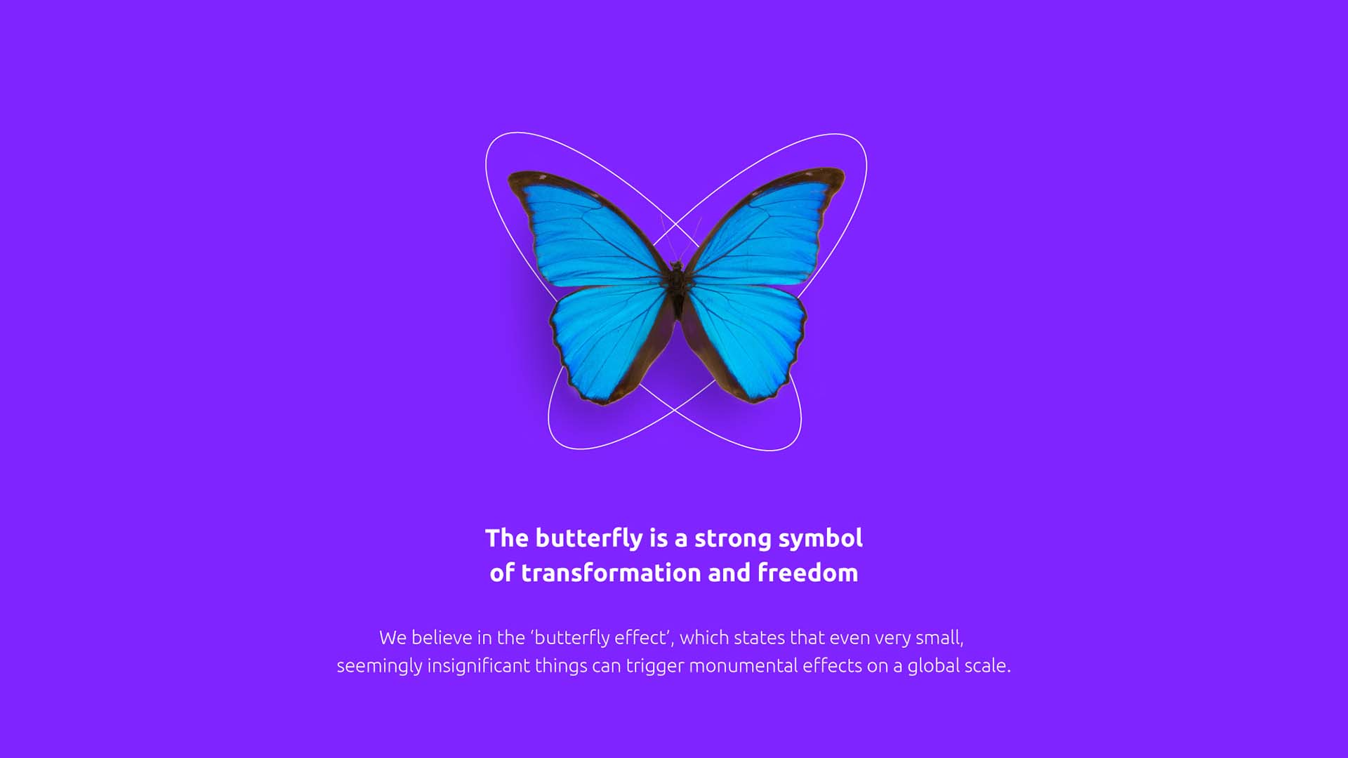 活環科技蝴蝶風格全球物聯網動力公司Sigfox品牌VI視覺形象設計--蝴蝶標志