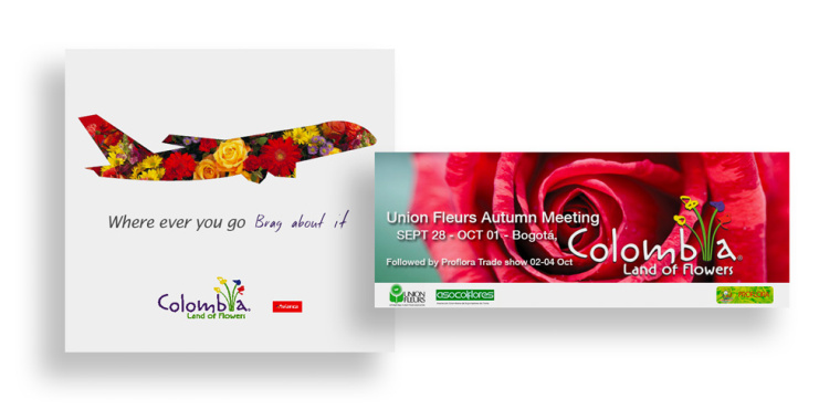千變萬化的哥倫比亞鮮花出口商協會標志設計
