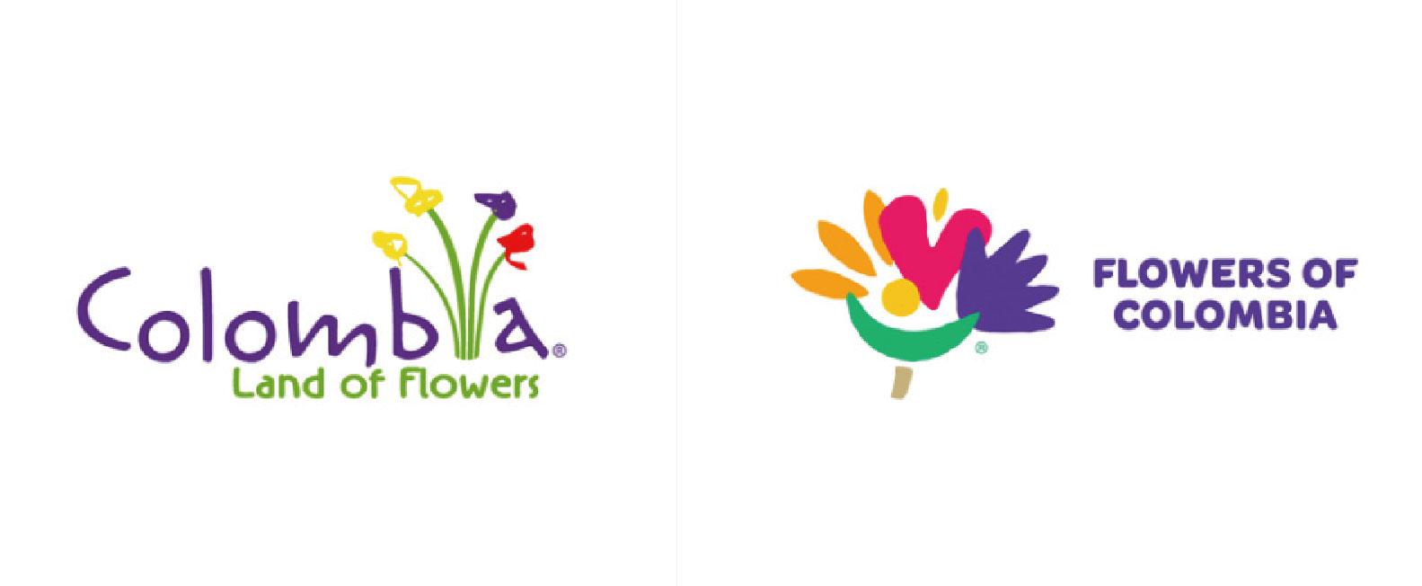 千變萬化的哥倫比亞鮮花出口商協會標志設計