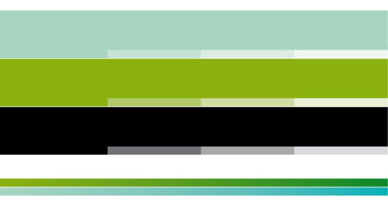 Braga國際性醫療保健醫院標志設計-上海標志設計公司