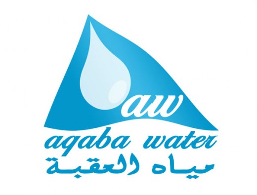 水標志設計圖片-水滴和旗幟結合的水務公司標志設計