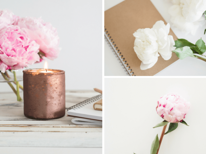 The Bloom 鮮花園藝logo設計品牌視覺形象設計-上海品牌設計公司