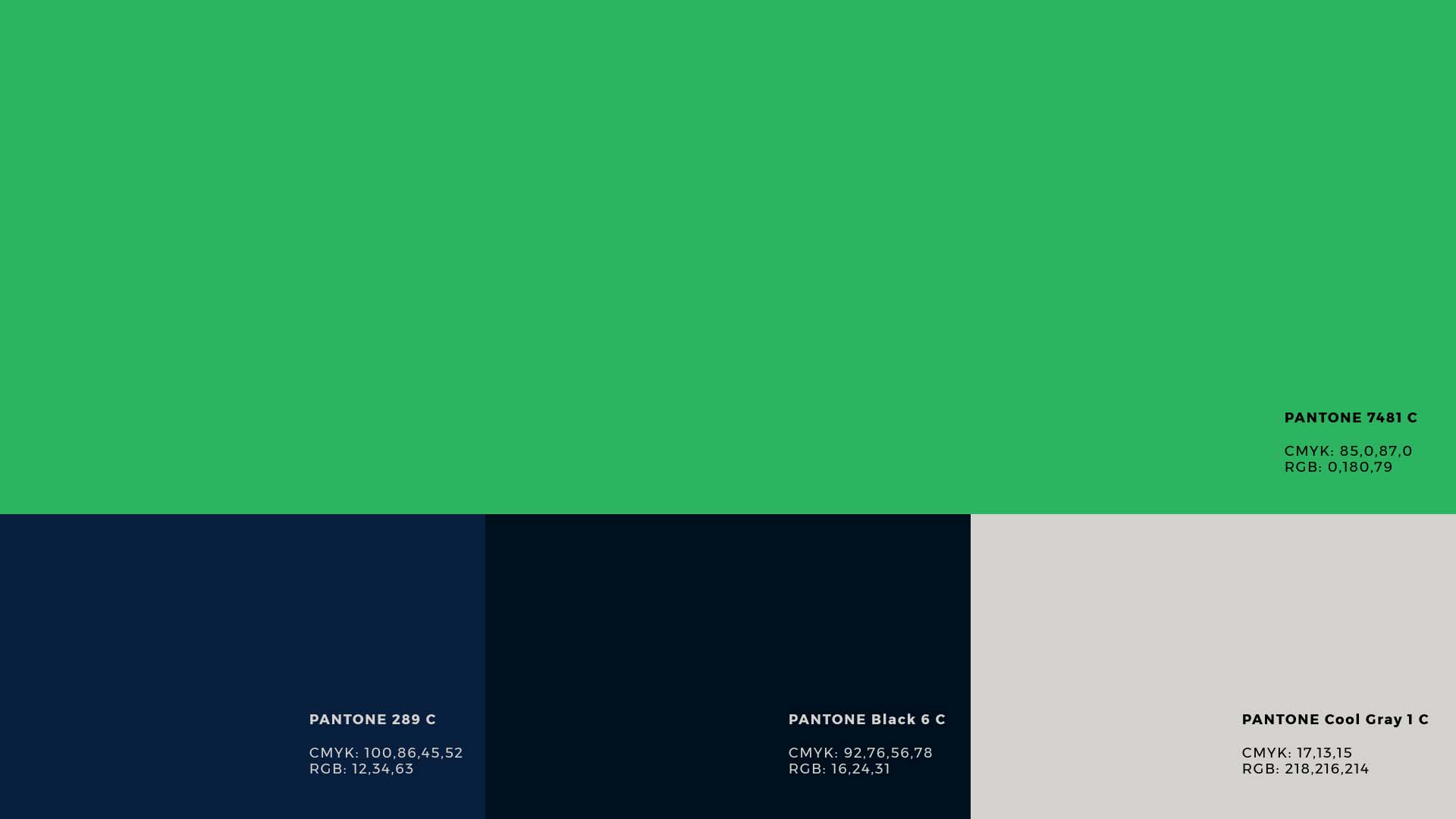 波浪線性風格標志設計VI設計- RSBR巴西地震網絡站品牌形象重塑