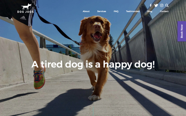 2018年激動人心的平面設(shè)計趨勢-高質(zhì)量攝影