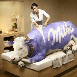 19個(gè)在廣告活動(dòng)中享譽(yù)世界的最佳吉祥物-米爾卡——為什么米爾卡巧克力是如此溫柔