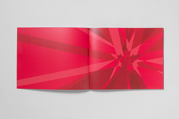 加拿大奧運會logo設計VI設計視覺識別手冊-上海logo設計VI設計公司欣賞