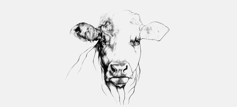 鉛筆動物頭像插畫R?ROSKJ?TT鮮肉肉類品牌形象設計包裝設計