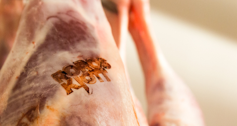 鉛筆動物頭像插畫R?ROSKJ?TT鮮肉肉類品牌形象設計包裝設計