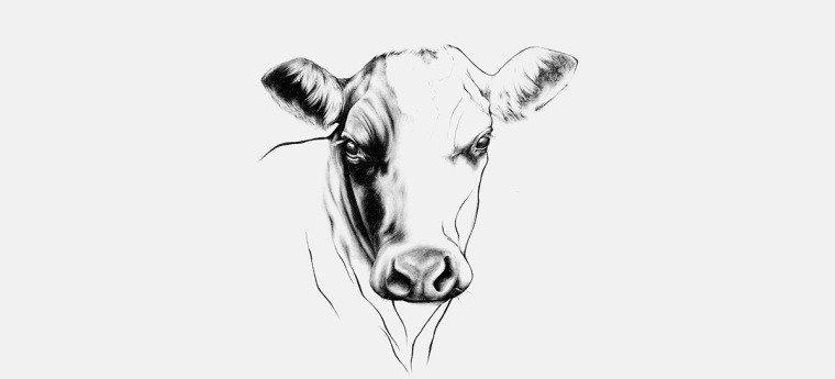 鉛筆動物頭像插畫R?ROSKJ?TT鮮肉肉類品牌形象設計包裝設計