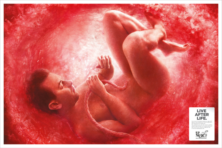 捐獻器官公益廣告：印度“在子宮里的人”平面廣告創意賞析-青年男性篇