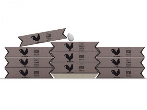 premium 環保雞蛋包裝設計創意概念－上海包裝設計公司