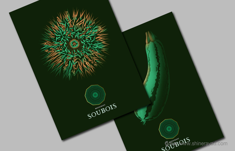 soubois酒館酒吧夜總會logo設計、品牌VI形象設計