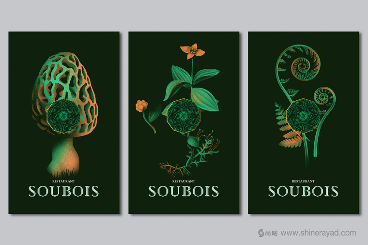 soubois酒館酒吧夜總會logo設計、品牌VI形象設計