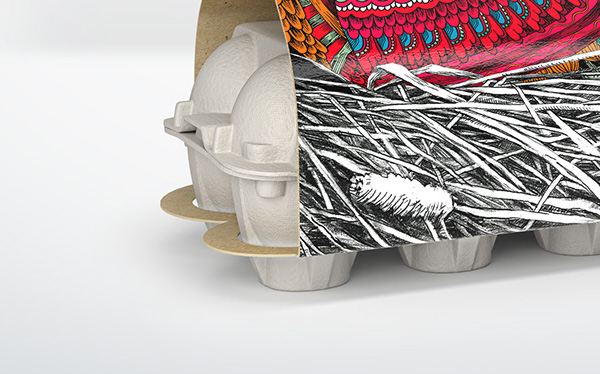 Layer Hen 雞蛋盒包裝設計“母雞插畫篇”-上海農產品包裝設計公司