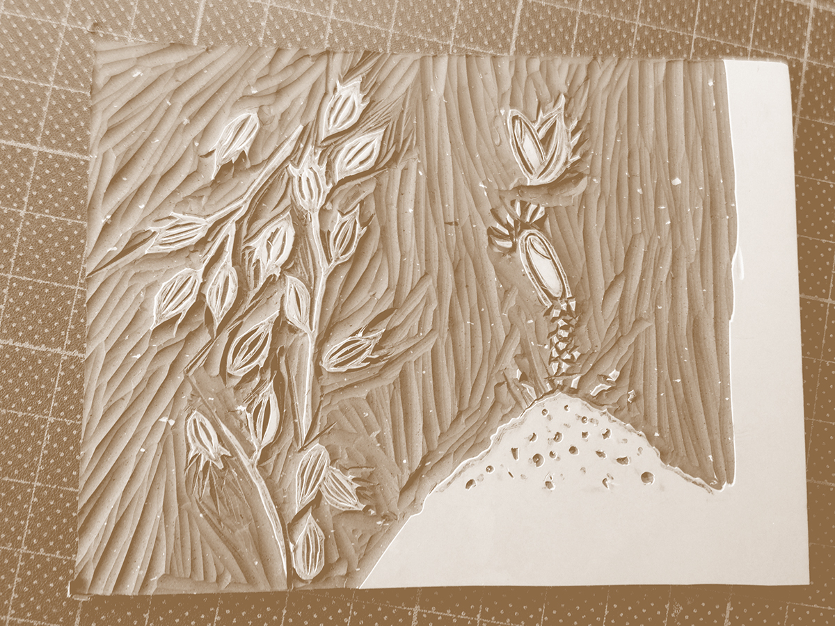 自然田天然農場農產品包裝設計-上海包裝設計公司