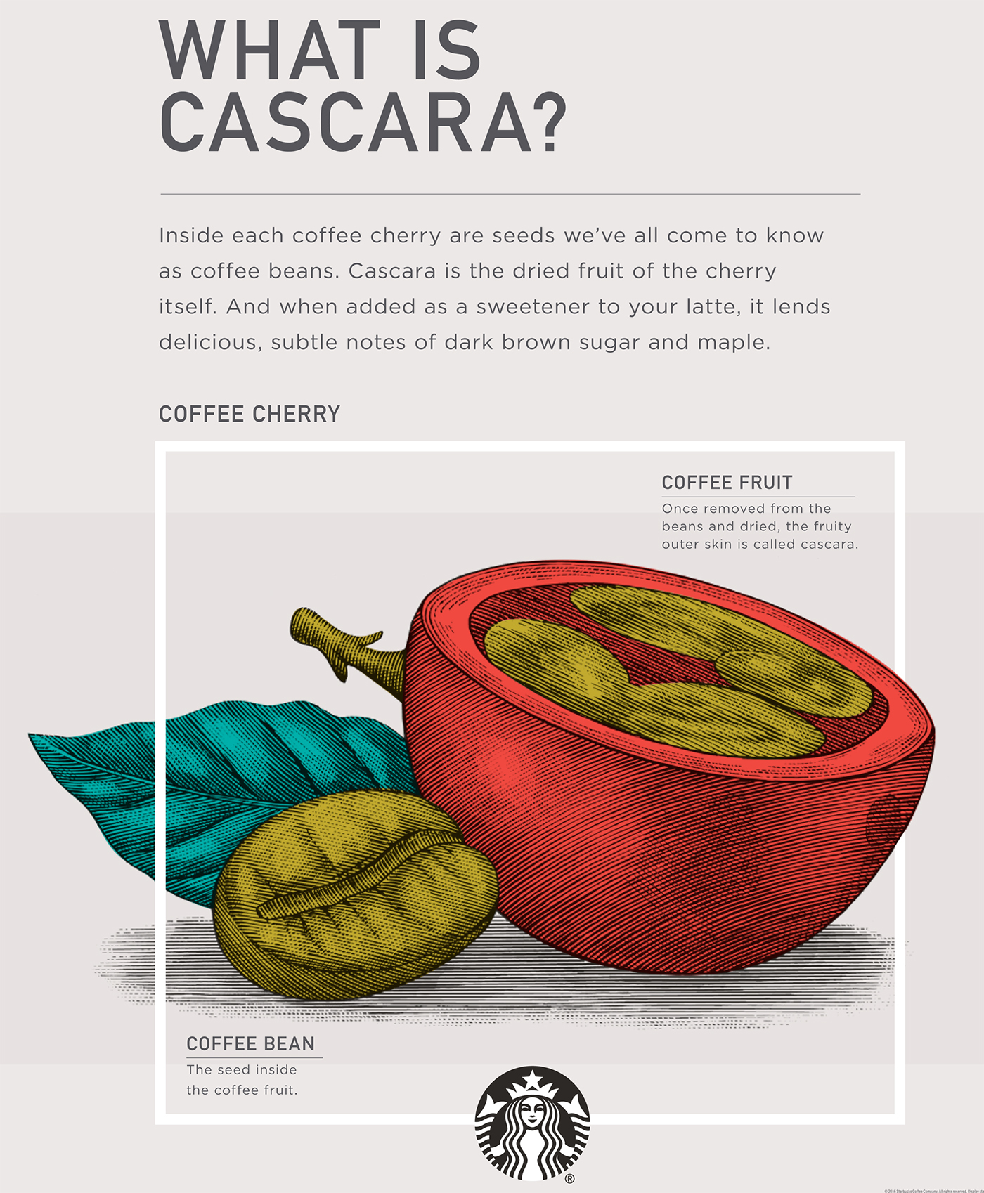 木版畫風格星巴克冬季咖啡促銷宣傳插畫設計-上海品牌形象設計公司-上海平面設計公司