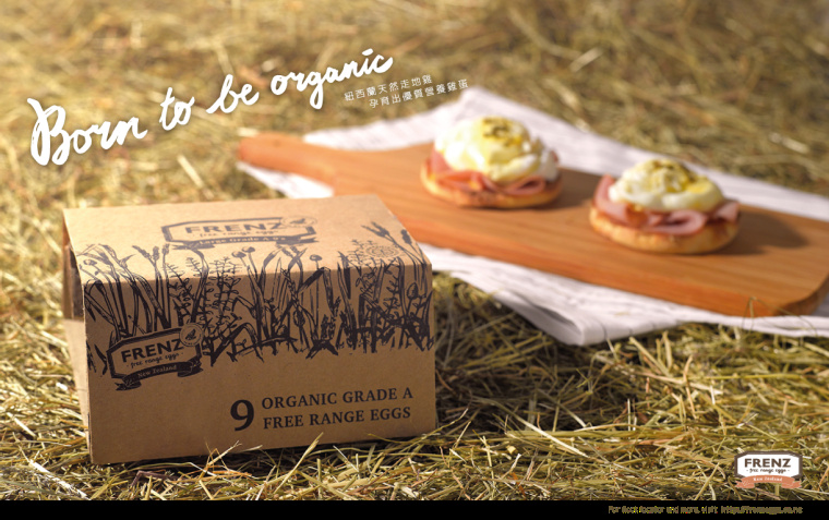 Frenz全瓦楞紙雞蛋環保包裝設計-上海包裝設計公司