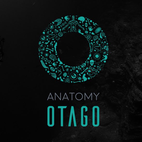 專業(yè)學(xué)校標(biāo)志設(shè)計(jì)-上海標(biāo)志設(shè)計(jì)公司