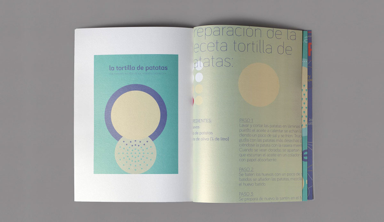 Bariol扁平圖案風(fēng)格宣傳畫冊設(shè)計-上海畫冊設(shè)計公司