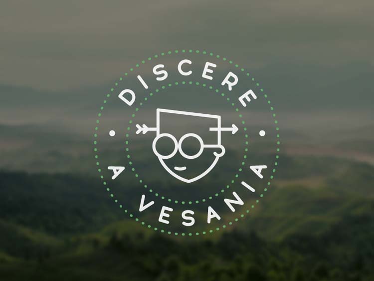 Discere A Vesania Logo設計-上海Logo設計公司