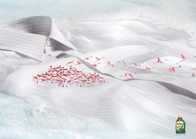 碧浪洗衣粉動(dòng)物遷徙篇平面廣告創(chuàng)意設(shè)計(jì)-上海品牌策劃設(shè)計(jì)廣告策劃設(shè)計(jì)公司