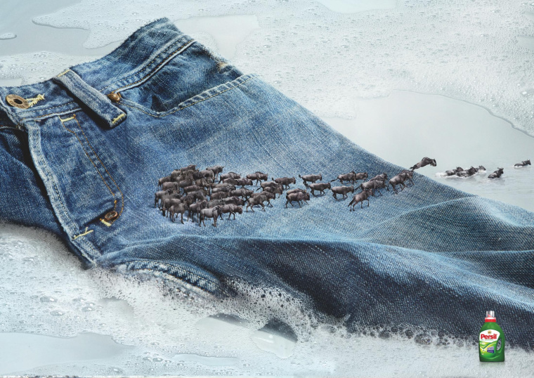 碧浪洗衣粉動(dòng)物遷徙篇平面廣告創(chuàng)意設(shè)計(jì)-上海品牌策劃設(shè)計(jì)廣告策劃設(shè)計(jì)公司