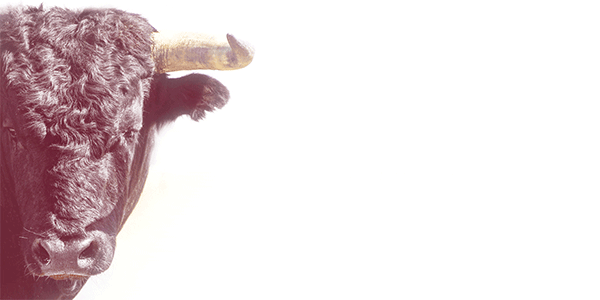 20個(gè)超酷創(chuàng)意logo設(shè)計(jì)想法-上海logo設(shè)計(jì)公司