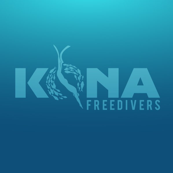 充滿運動感的魚logo設計-上海logo設計公司-上海品牌設計公司