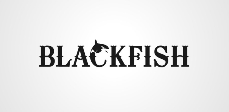 充滿運動感的魚logo設計-上海logo設計公司-上海品牌設計公司