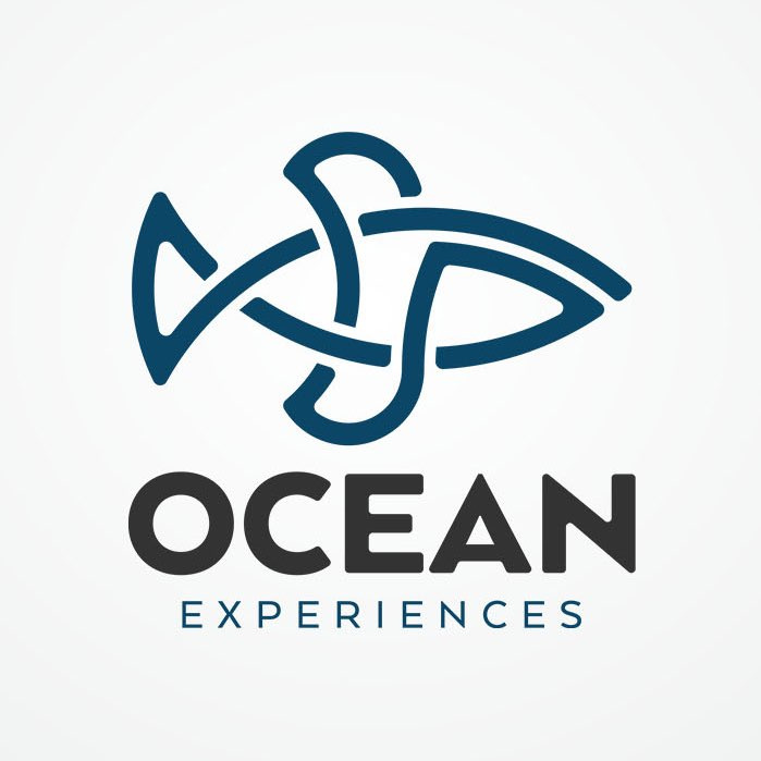 充滿運動感的魚logo設計-上海logo設計公司-上海品牌設計公司