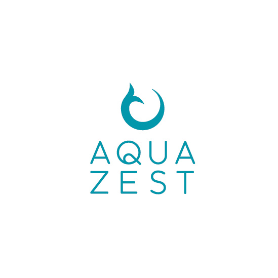 有趣的抽象魚概念logo設計-上海logo設計公司-上海品牌設計公司