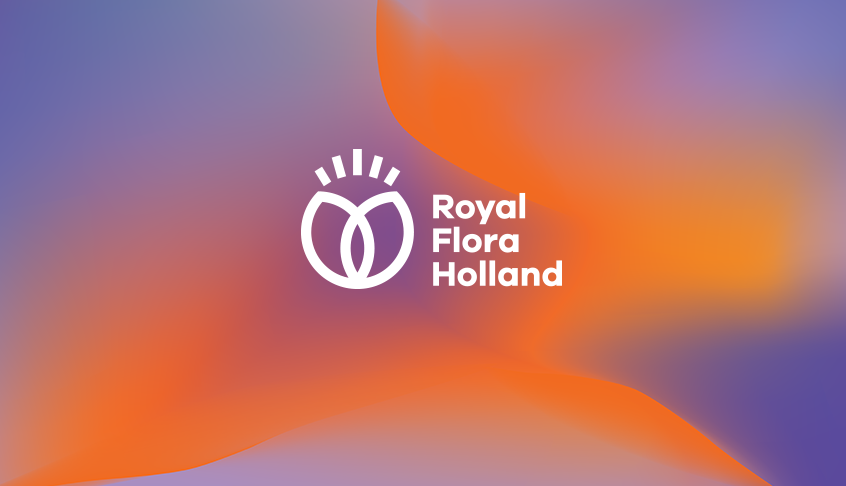 Royal Flora Holland 鮮花花卉種植合作社品牌logo設計-上海logo設計公司