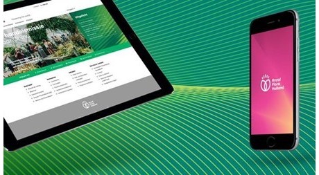 Royal Flora Holland 鮮花花卉種植合作社品牌VI設計-上海VI設計公司