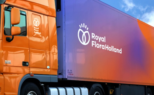 Royal Flora Holland 鮮花花卉種植合作社品牌VI設計-上海VI設計公司