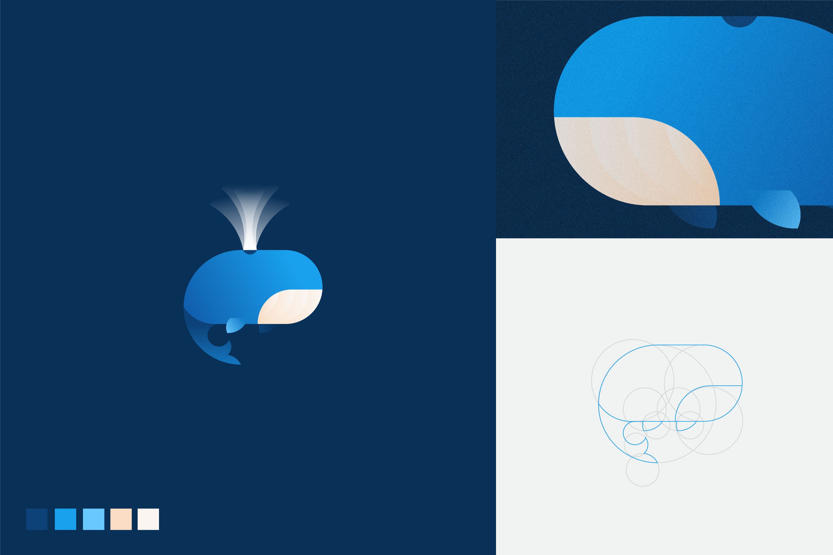 藍色鯨魚logo-黃金分割比例設計的幾何圖形動物logo設計圖片欣賞-上海logo設計公司