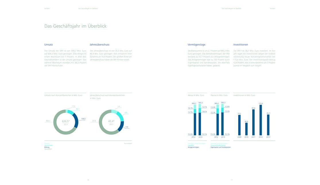 SRH控股2013年度報告畫冊設計-上海畫冊設計公司分享
