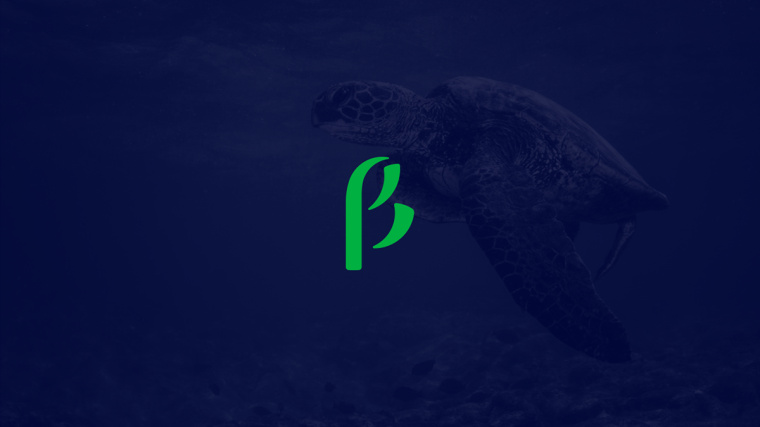 生物學社會組織“Dr. Sava Petrovic博士”品牌視覺識別VI設計-logo設計-上海VI設計公司