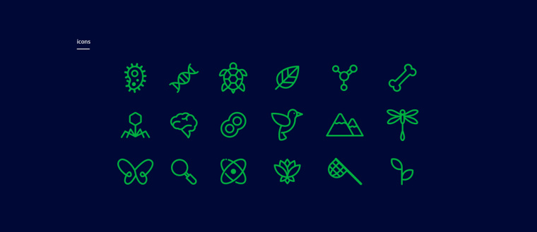 生物學社會組織“Dr. Sava Petrovic博士”品牌視覺識別VI設計-上海VI設計公司