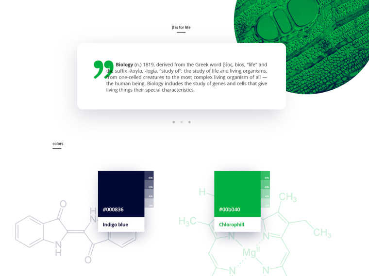 生物學社會組織“Dr. Sava Petrovic博士”品牌視覺識別VI設計-上海VI設計公司