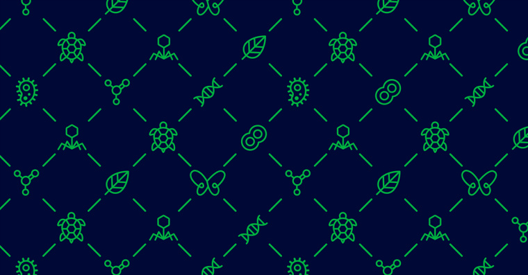 生物學社會組織“Dr. Sava Petrovic博士”品牌視覺識別VI設計-上海VI設計公司