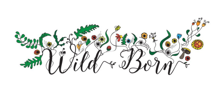 豐富多彩（異想天開）logo--健康logo設計趨勢-上海logo設計公司