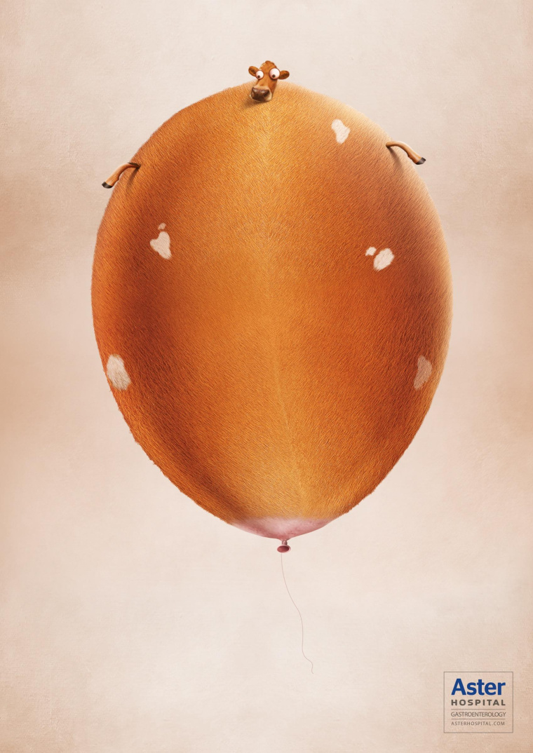 艾斯特醫(yī)院治療胃脹胃病平面廣告創(chuàng)意設(shè)計(jì)-膨脹的母牛-上海醫(yī)療平面廣告策劃設(shè)計(jì)公司