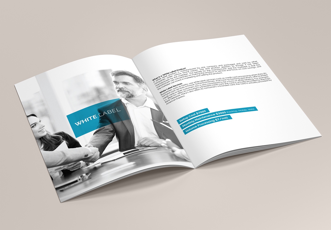 塞浦路斯自貿科技公司藍色簡約風格宣傳冊-上海宣傳畫冊設計公司