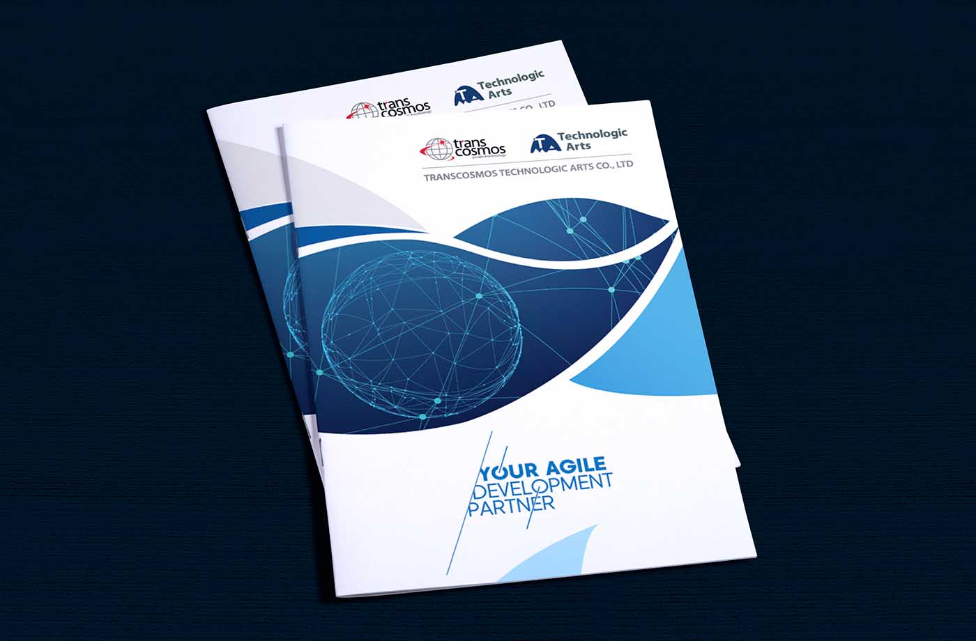 越南創世紀科技藝術公司商務風格宣傳冊-上海宣傳冊設計公司