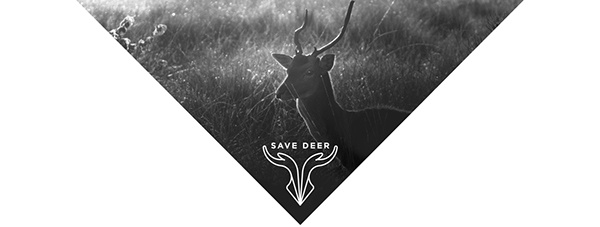 拯救野生鹿群動物公益品牌VI形象設計-上海品牌VI設計公司