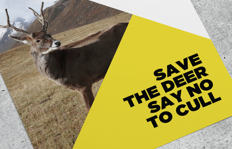 拯救野生鹿群動物公益品牌VI形象設計-上海品牌VI設計公司