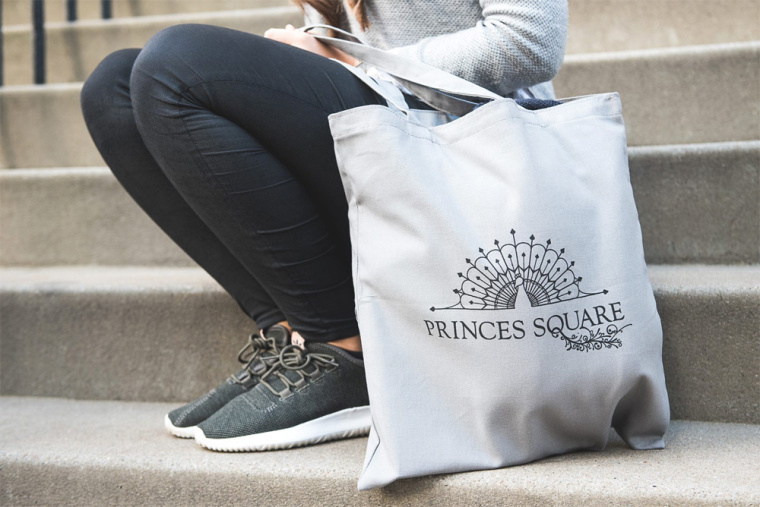 Princes 王子購物中心商場孔雀logo設計品牌vi形象設計-上海vi設計公司